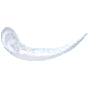 Tena Discreet Maxi thumbnail