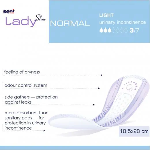 Seni Lady Normal